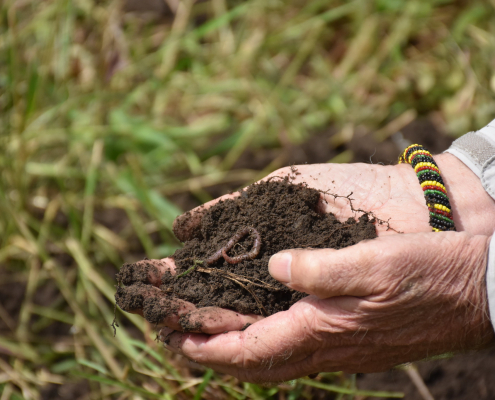 Hands holding healthy soil