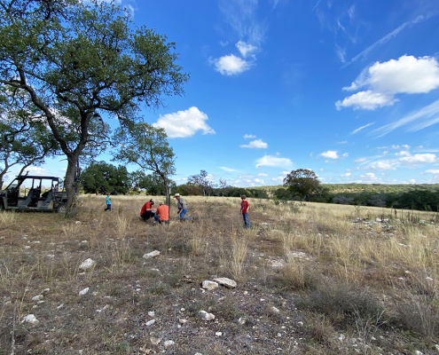 Pure Pastures, Texas